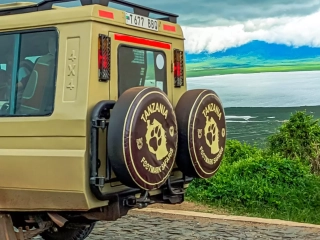 Land cruiser - Tanzania Footmark 1