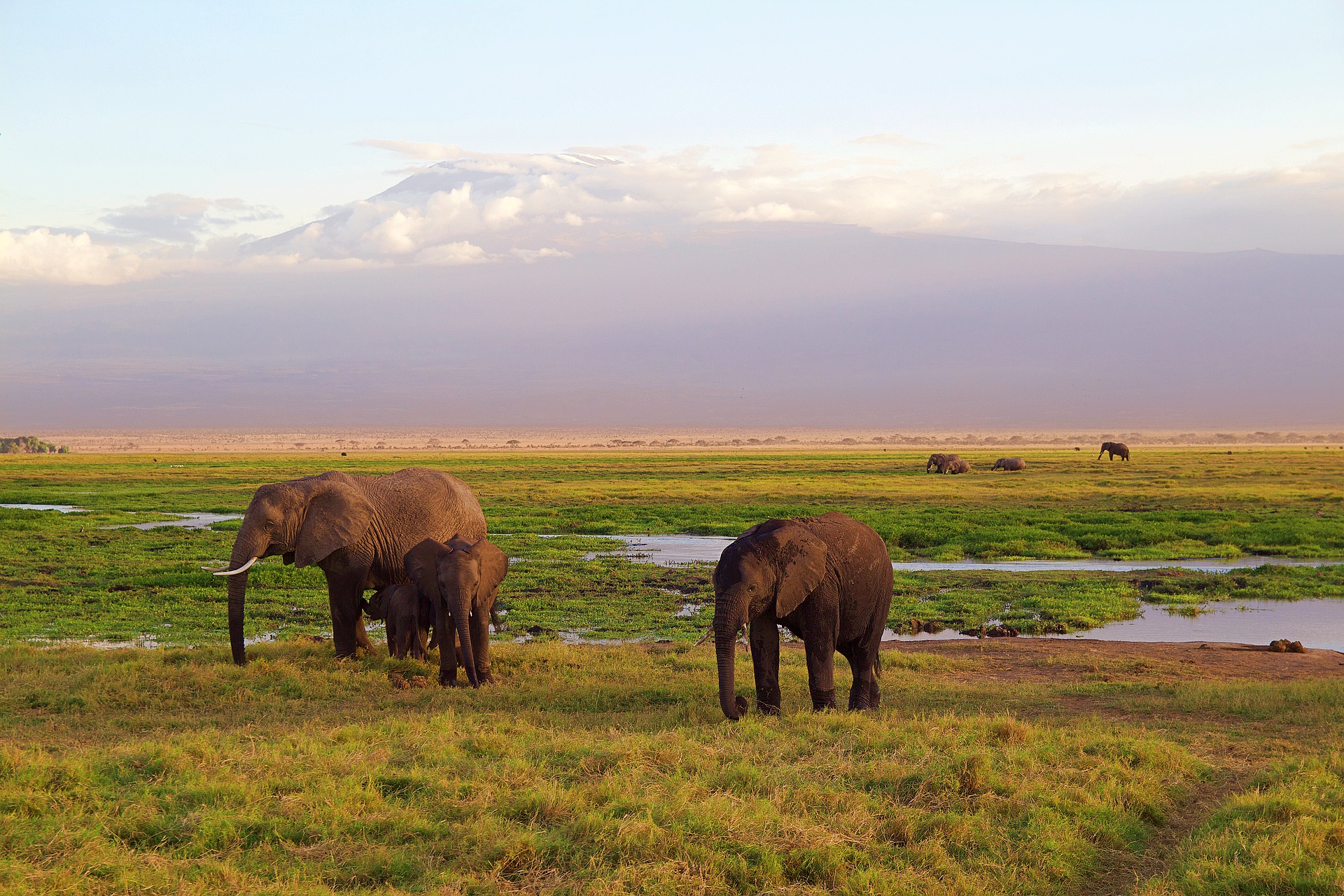2-Days-Arusha-National-Park-Kilimanjaro-Safari