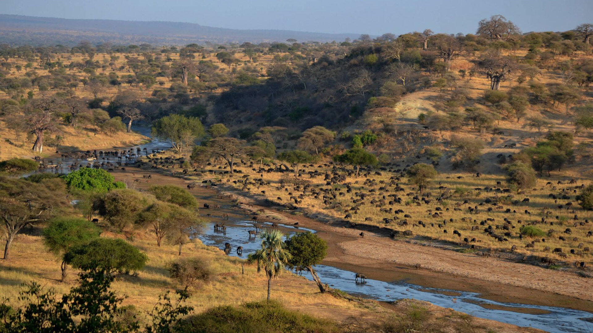 Tarangire-2-1920x1280-1920x1080