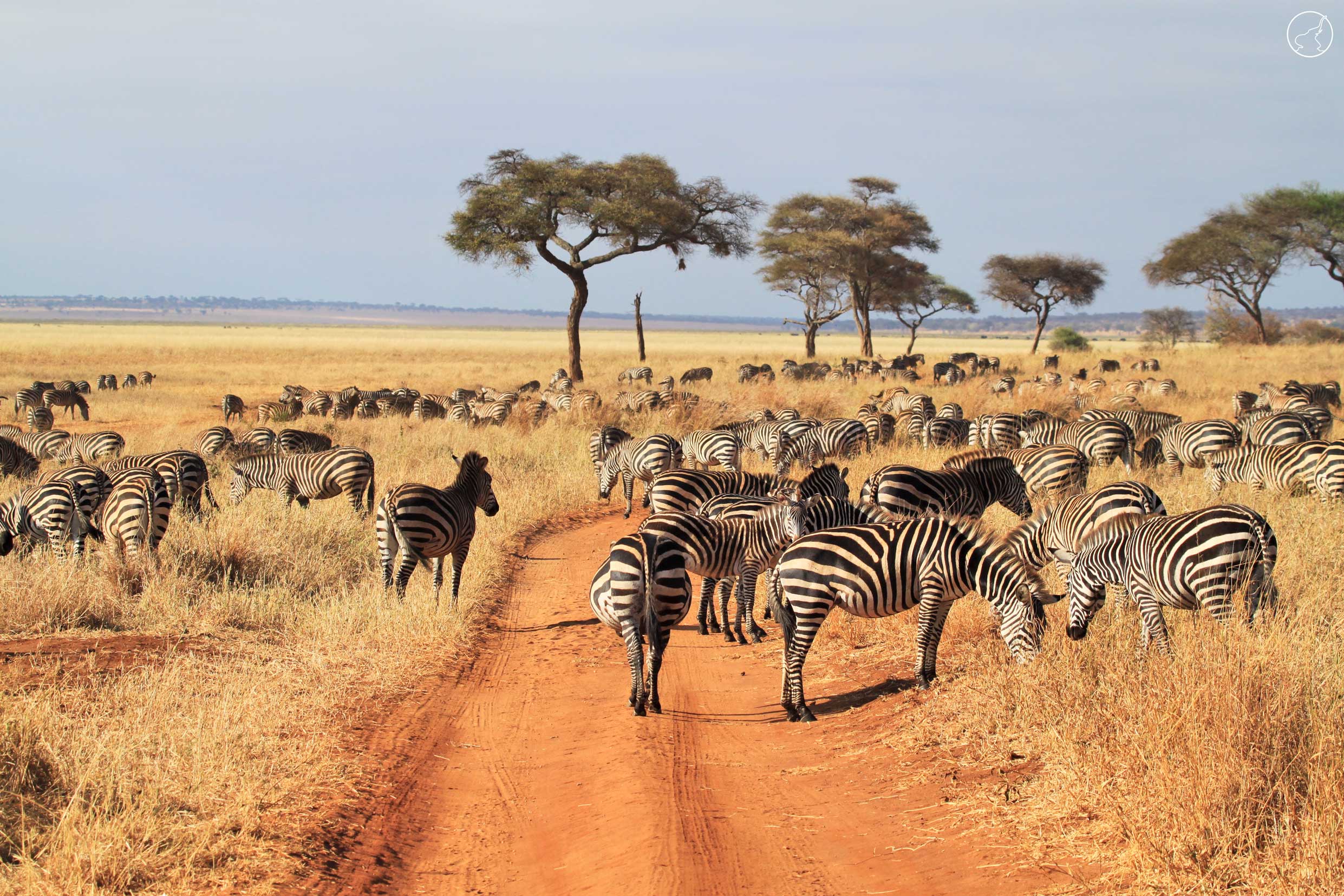Tarangire-National-Park