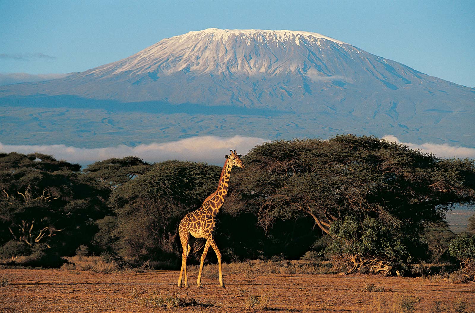 c-a_mount-kilimanjaro