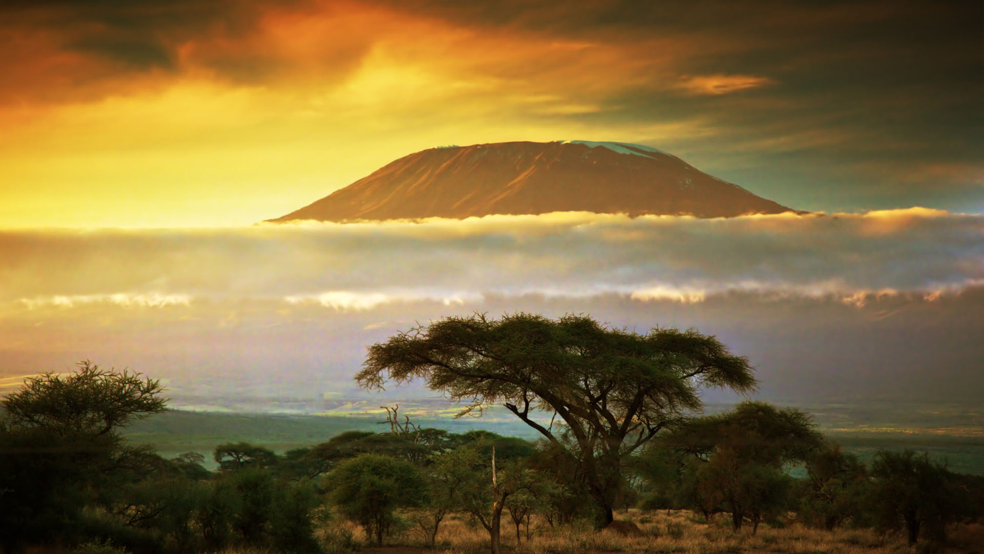 kilimanjaro-national-park-banner
