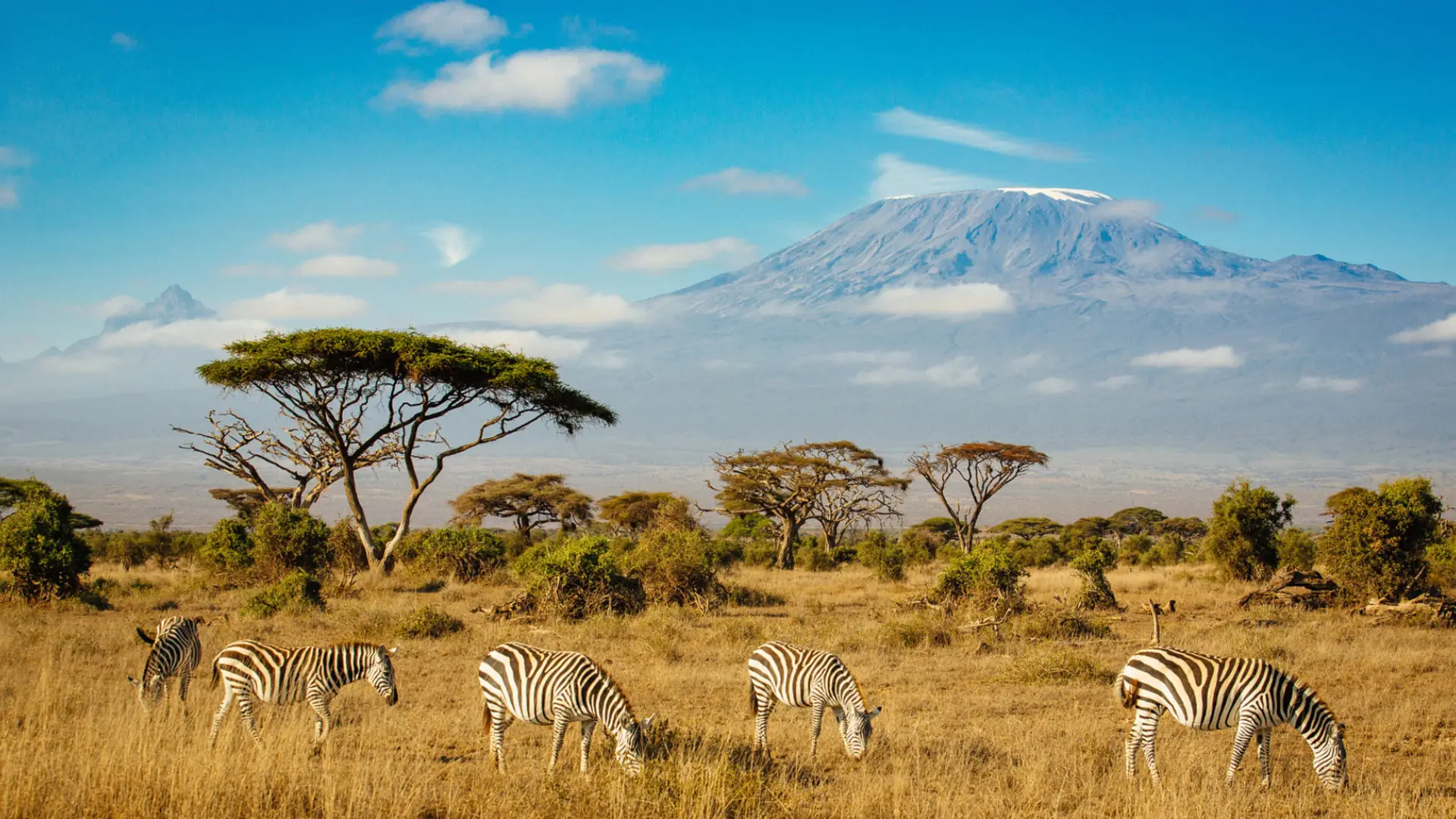 kilimanjaro-national-park-banner
