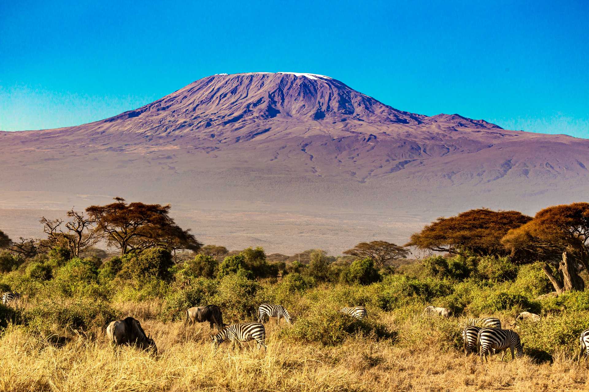 kilimanjaro-national-park-tanzania-istock-3490