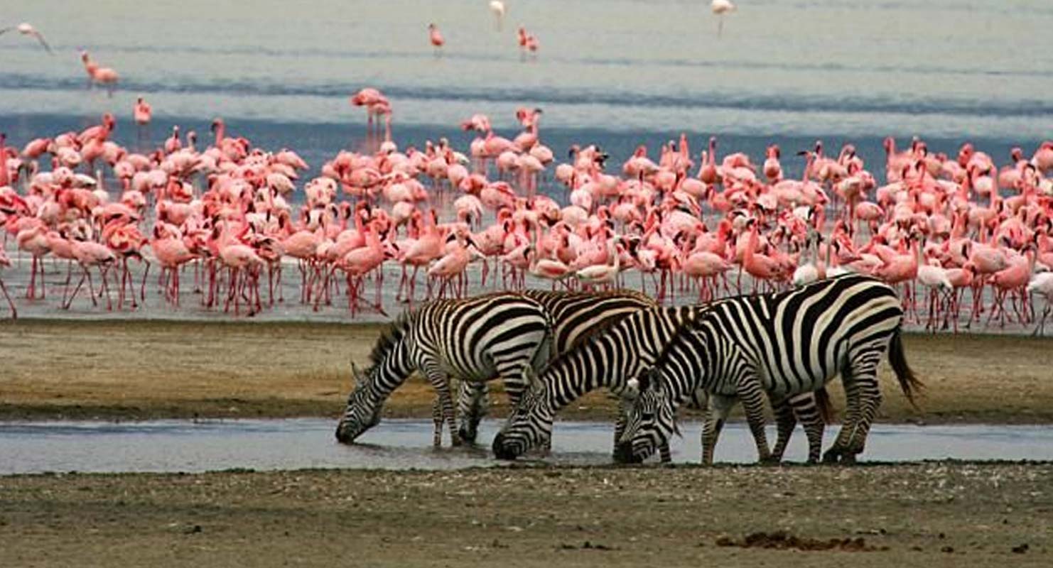 lake-manyara