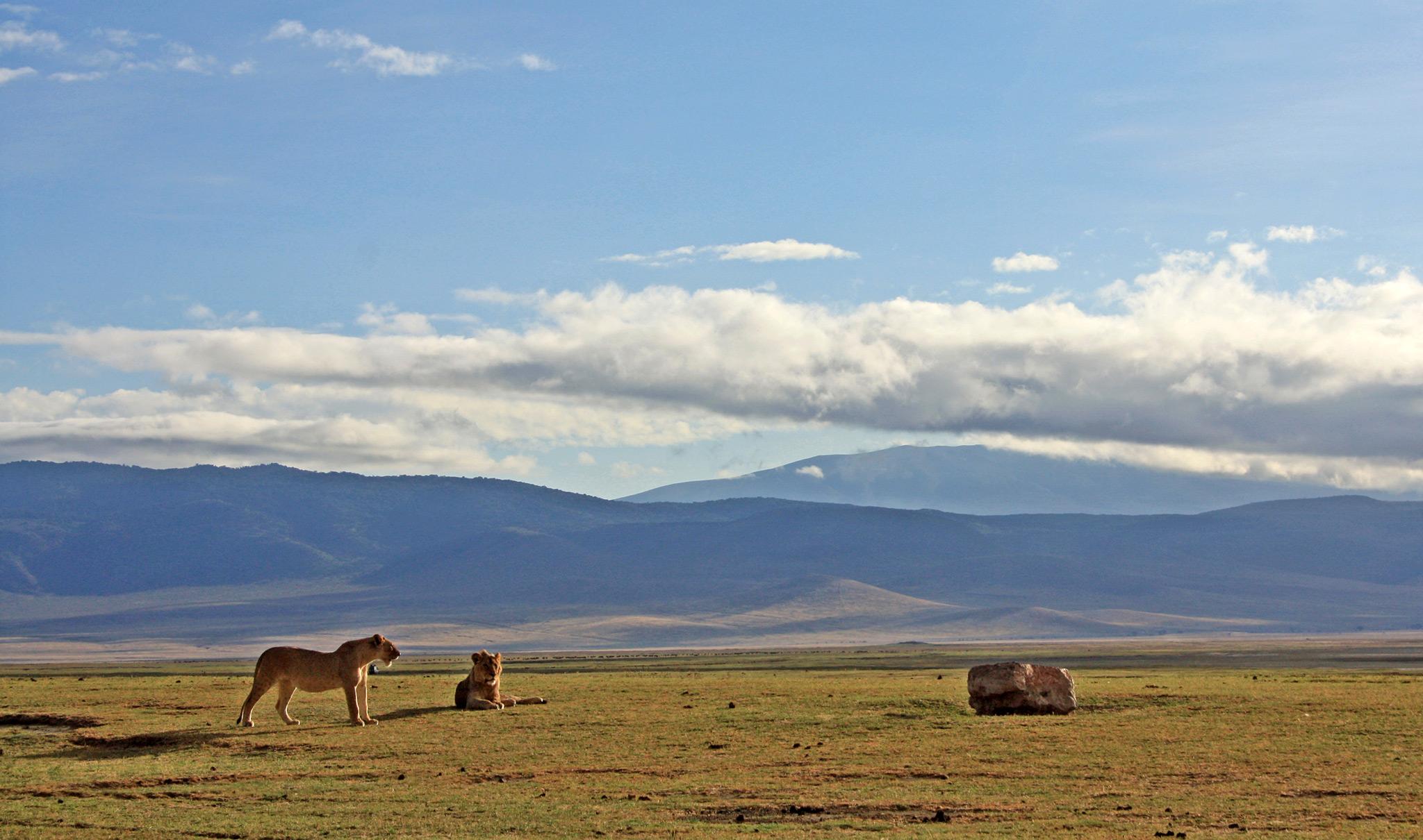 ngorongoro-crater-tanzania-worth-visit-featured