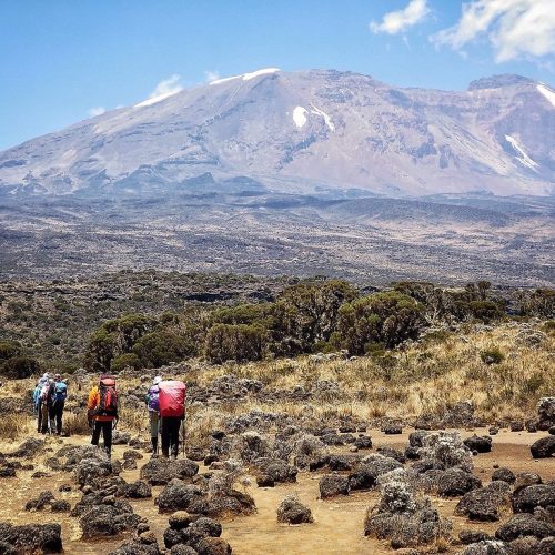 30098261424_970e87c420_b